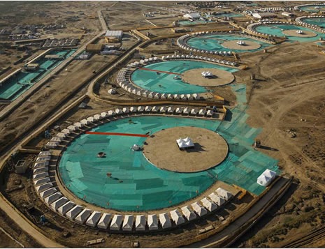 Rann Resort