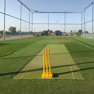 Cricket