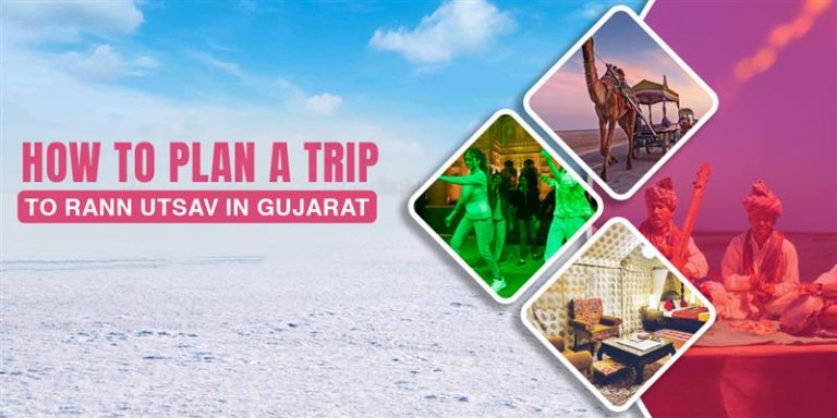 How to Plan a Trip to Rann Utsav in Gujarat 