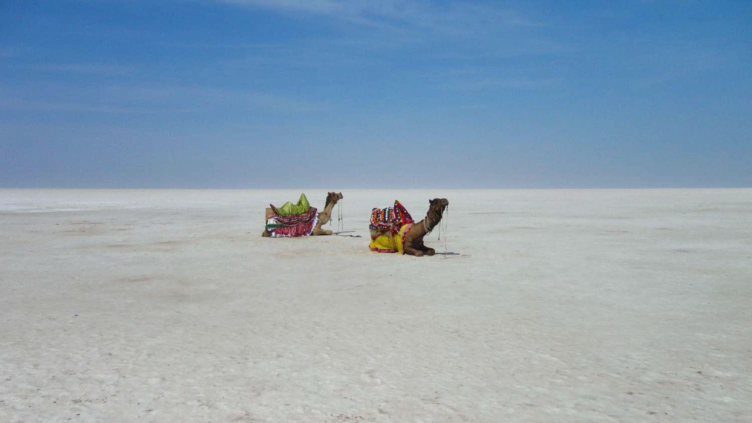 White Rann