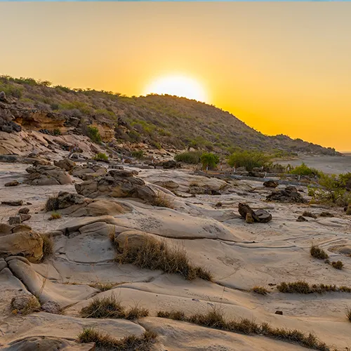 Dholavira Fossil Park