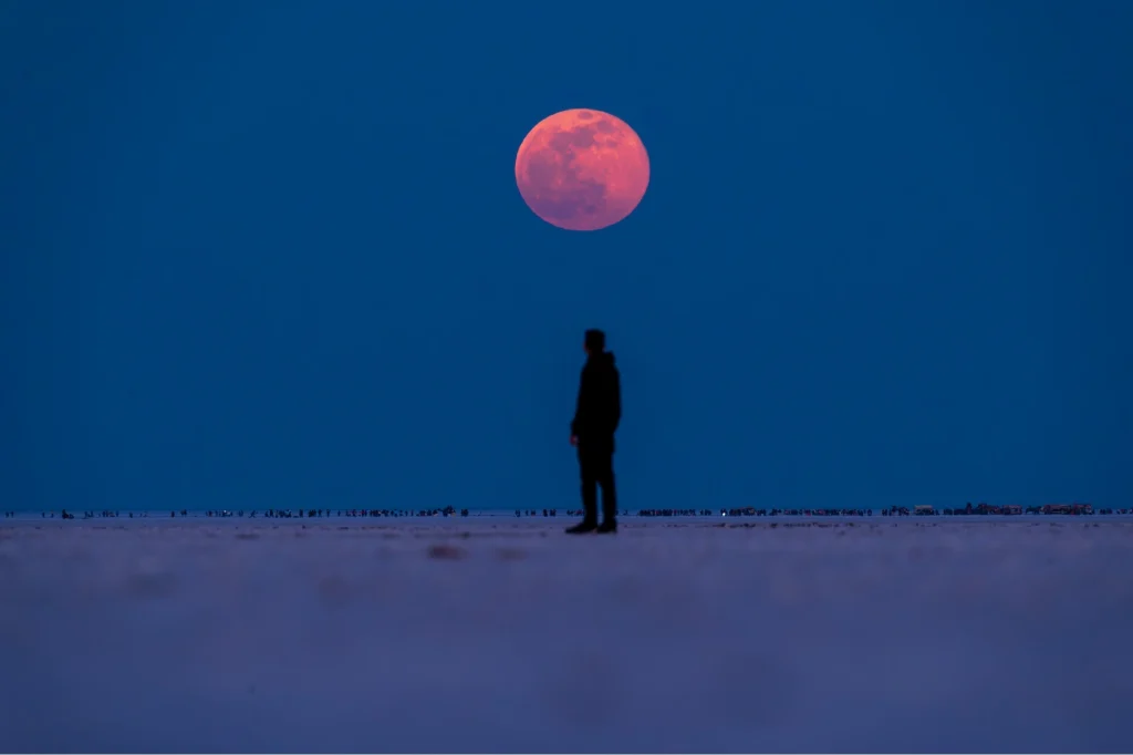 Rann Utsav 2026 Packages