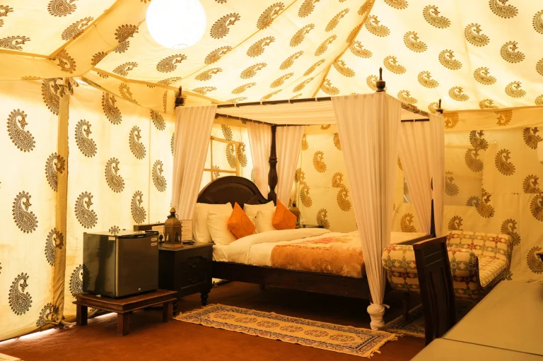 Praveg Tent City – Luxury Stay Experience at White Rann